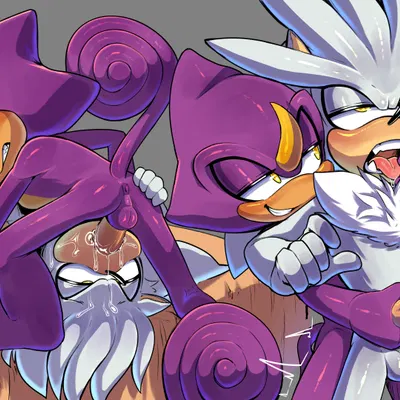 espio the chameleon, silver the hedgehog (sega, sonic the hedgehog (series)) created by mayghely