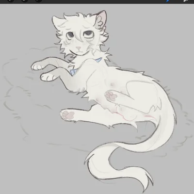 fan character, sealfluff (littleperrito) (warriors (book series)) created by littleperrito, sealperrito