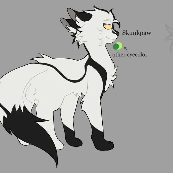 fan character, skunkpaw (littleperrito) (warriors (book series)) created by littleperrito