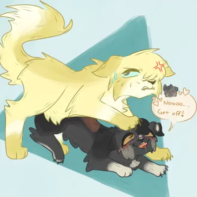 fan character (warriors (book series)) created by breezepawlt