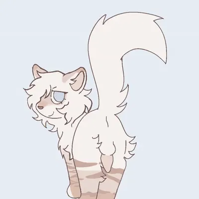 fan character (warriors (book series)) created by littleperrito