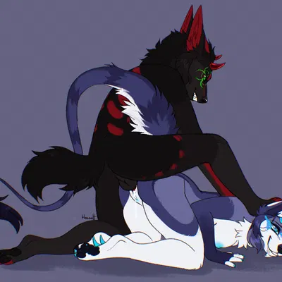 furhan, kutta created by hoccult