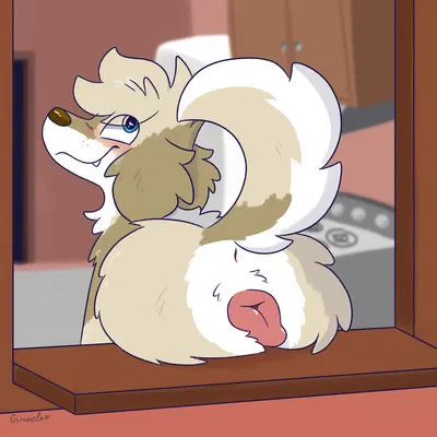 gracie (vixeyhuskybutt) created by vixeyhuskybutt