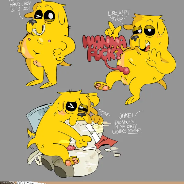 jake the dog (adventure time, cartoon network) created by tomnookusedjock