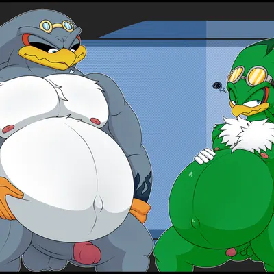 jet the hawk, storm the albatross (sega, sonic riders) created by blazkenzxy
