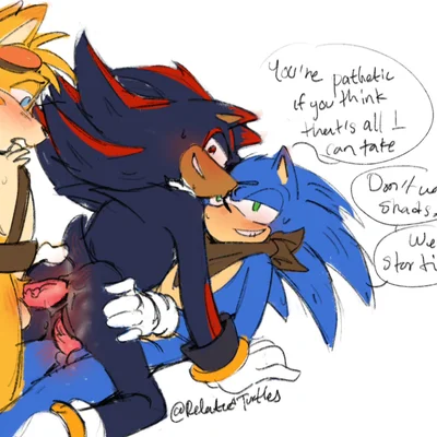 miles prower, shadow the hedgehog, sonic the hedgehog (sega, sonic boom) created by relatedturtles