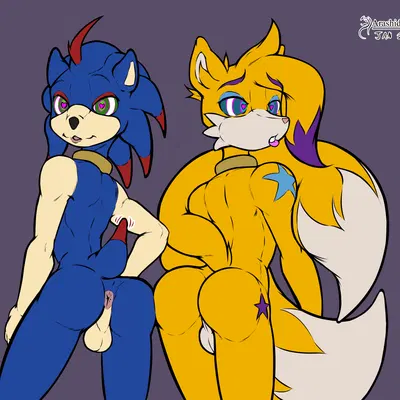 miles prower, sonic the hedgehog (sega, sonic the hedgehog (series)) created by arashidrgn