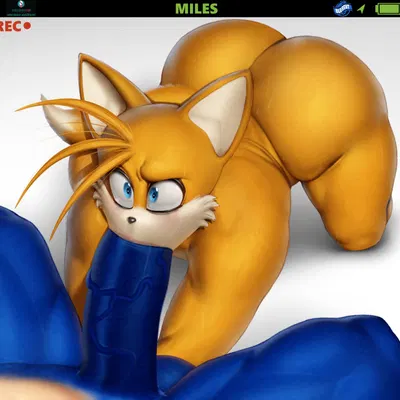miles prower, sonic the hedgehog (sega, sonic the hedgehog (series)) created by blu rent