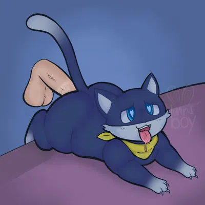 morgana (persona) (atlus, megami tensei) created by bunnsboy