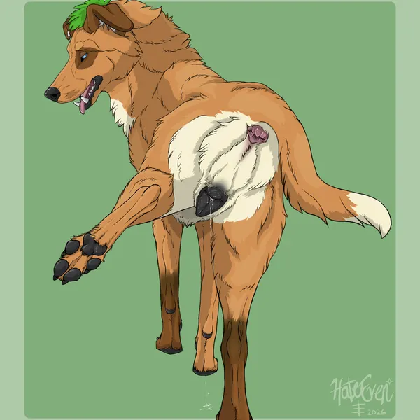 muddog007 created by hateeven