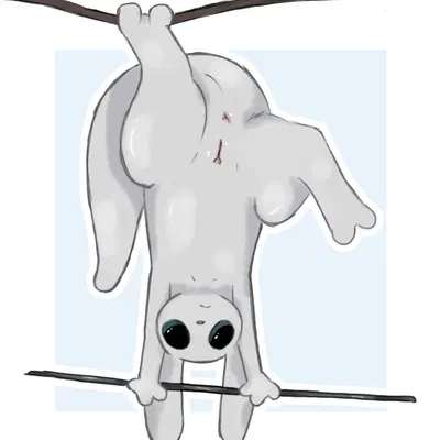 rain world, videocult