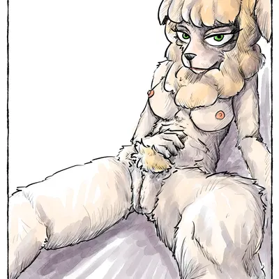 sebun (beastars) (beastars) created by mr.foxman