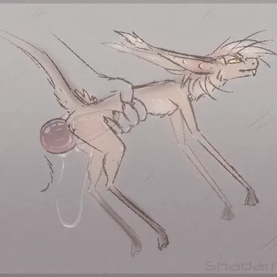 shrimp (shadarrius) (out-of-placers) created by shadarrius