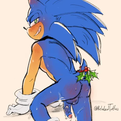 sonic the hedgehog (christmas, sega) created by relatedturtles