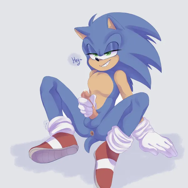 sonic the hedgehog (sega, sonic the hedgehog (series)) created by hant sins