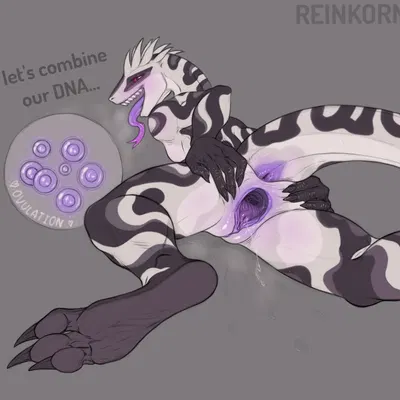 velux created by reinkorn