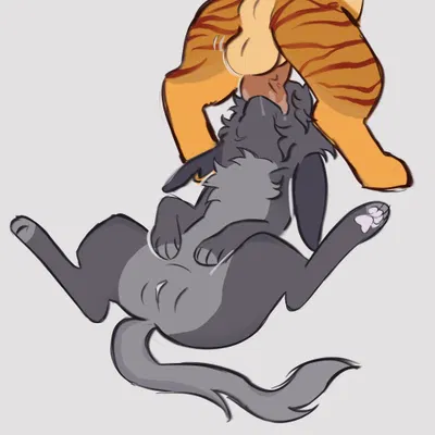 warriors (book series) created by littleperrito