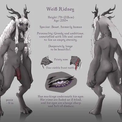 weiss (paledrake) (paledrake) created by ais05, paledrake (artist)