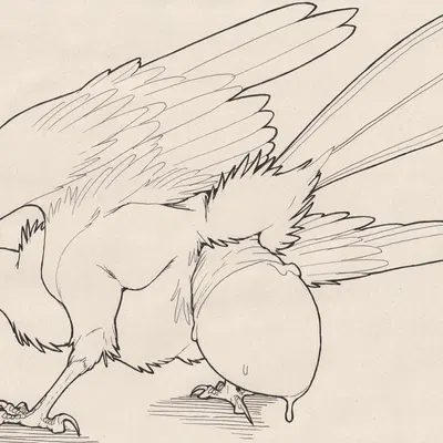 wren (kuruk) created by 01phoenix01