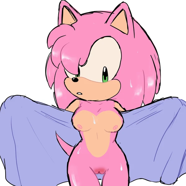 amy rose (sega, sonic the hedgehog (series)) created by cintra (artist)