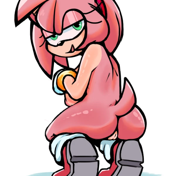 amy rose (sega, sonic the hedgehog (series))