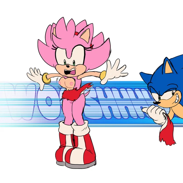 amy rose, sonic the hedgehog (sega, sonic the hedgehog (series)) created by cintra (artist)