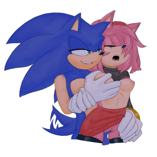 amy rose, sonic the hedgehog (sega, sonic the hedgehog (series)) created by wsora