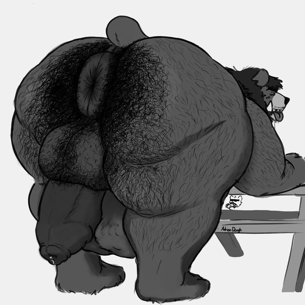 bear (adriandough) created by adrian dough
