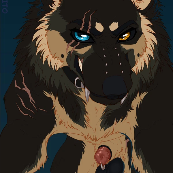 beau (williamca) created by incorgnito