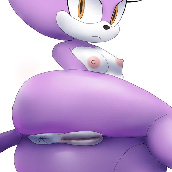 blaze the cat (sega, sonic the hedgehog (series)) created by aerosin