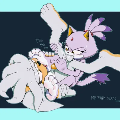 blaze the cat, silver the hedgehog (sega, sonic the hedgehog (series)) created by morphpunk