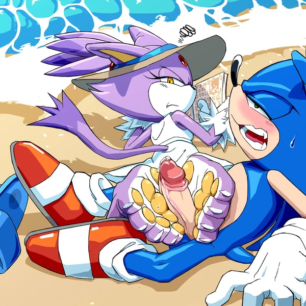 blaze the cat, sonic the hedgehog (sega, sonic the hedgehog (series)) created by zeunnert tw