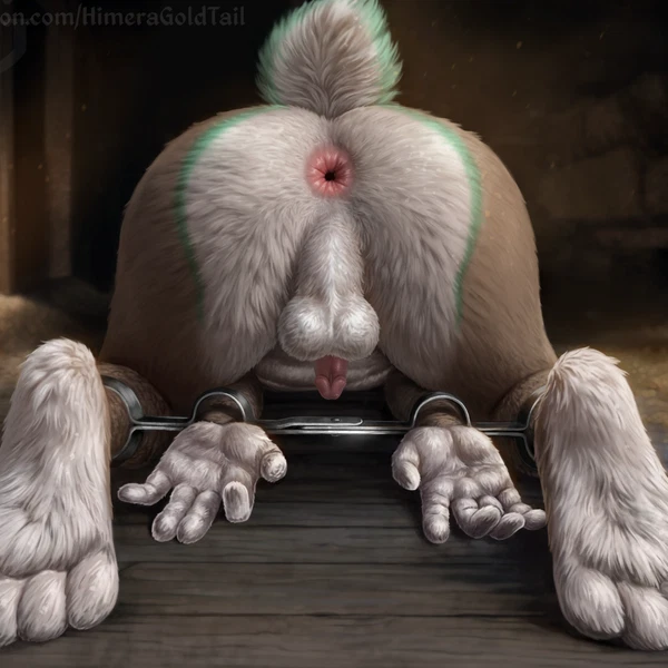 created by himeragoldtail
