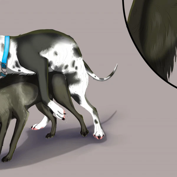 created by holidaypup, valiberite