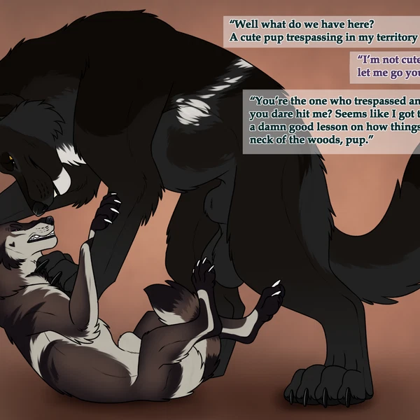 echo (wolffylegend) created by killthe demon