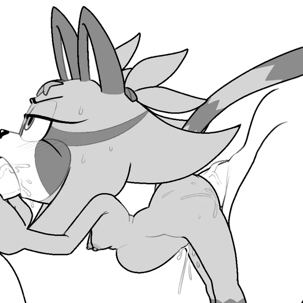 fan character, jade the cat created by 4chan anon