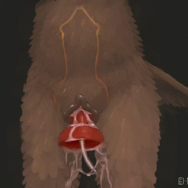 fleek feather created by einin
