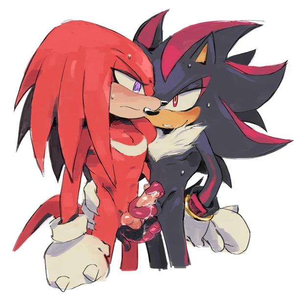 knuckles the echidna, shadow the hedgehog (sega, sonic the hedgehog (series)) created by ben195r