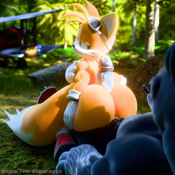 miles prower, sonic the hedgehog, sonic the werehog (sega, sonic the hedgehog (series)) created by kawa the asparagus