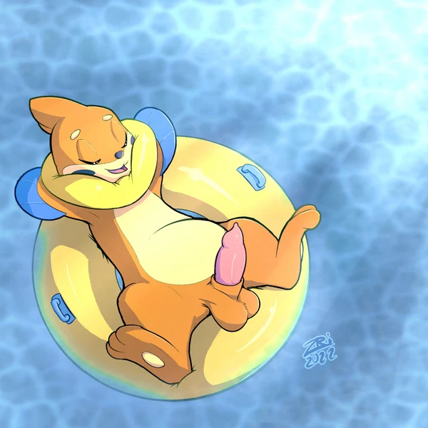 nintendo, pokemon created by buieb