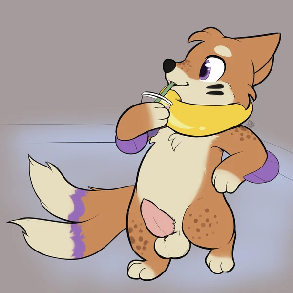 nintendo, pokemon created by buieb