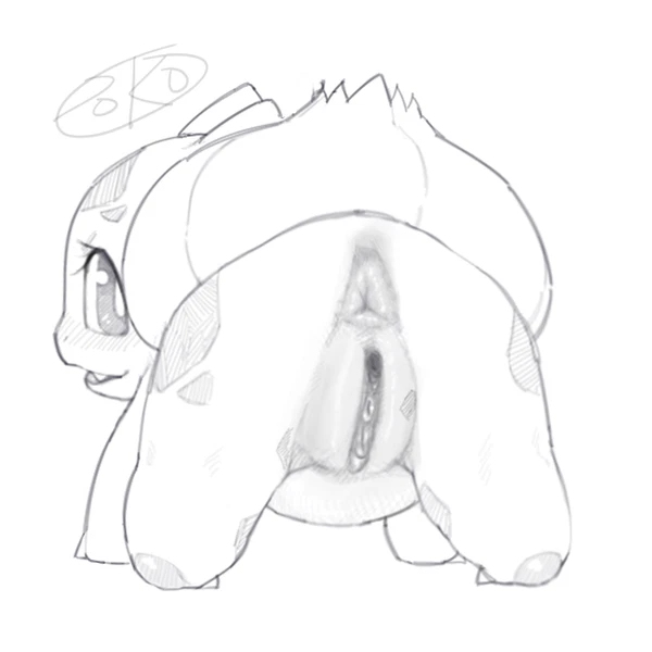 nintendo, pokemon created by pokopokarea