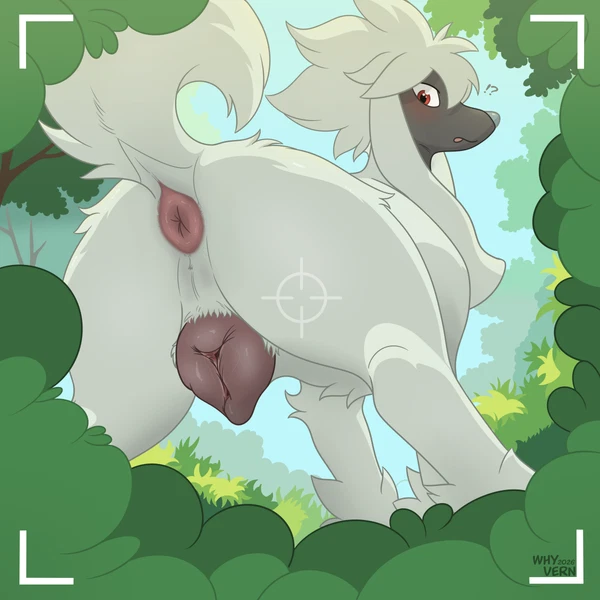 nintendo, pokemon created by whyvern