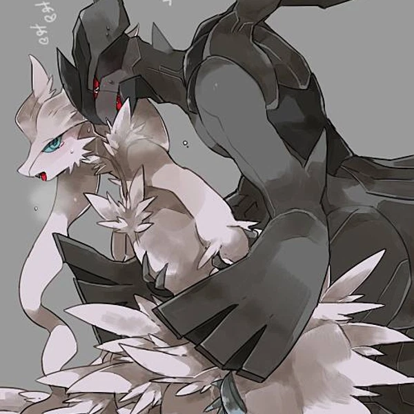 nintendo, pokemon
