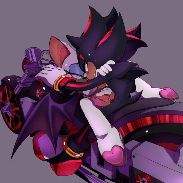 rouge the bat, shadow the hedgehog (sega, sonic the hedgehog (series)) created by ben195r