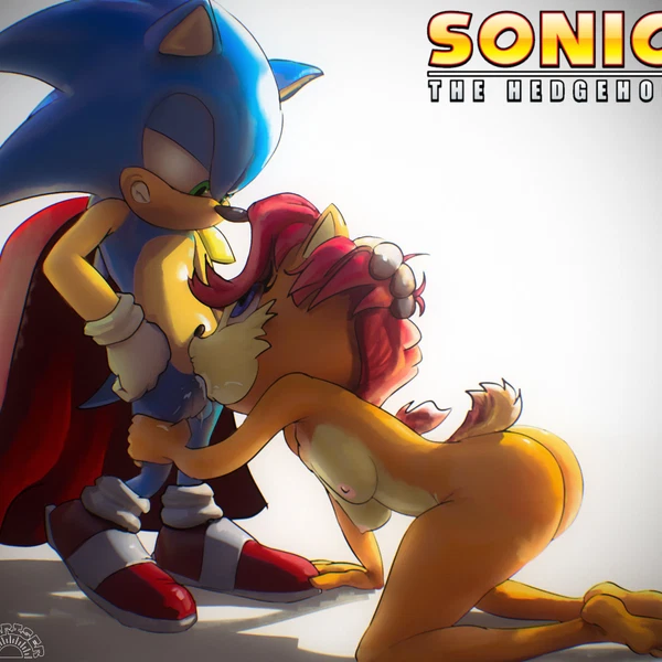 sally acorn, sonic the hedgehog (sega, sonic the hedgehog (series)) created by sunriser616