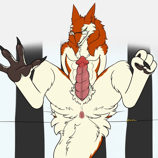 shawny (shawnvallance) created by may825