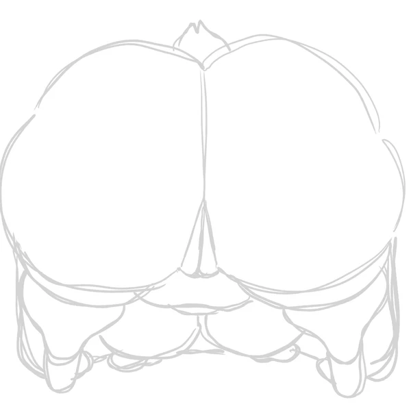 toriel (undertale (series)) created by nsfwoaf
