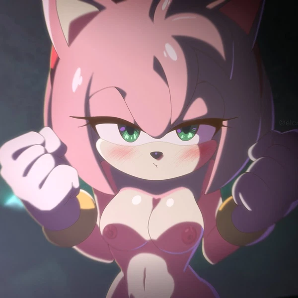 amy rose (sega, sonic the hedgehog (series))
