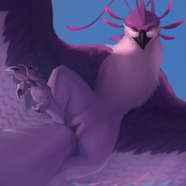 arith created by ztalex